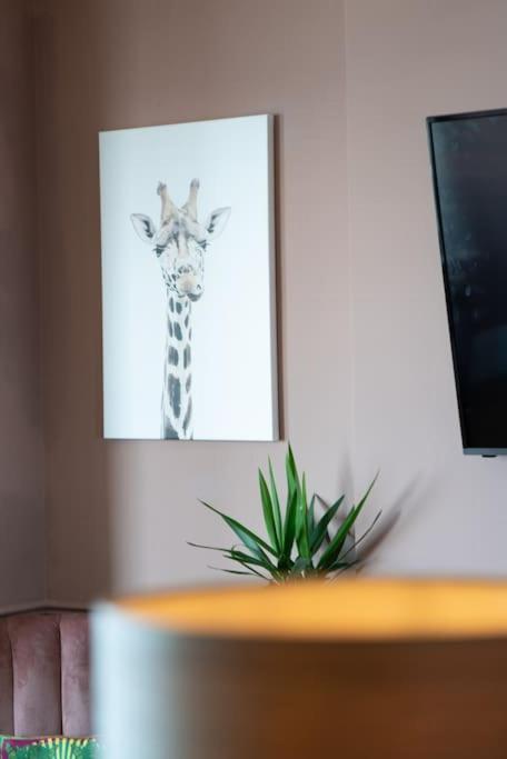 Stylish Beachfront Apartment, Sweeping Ocean Views And Luxury Touches ハーン・ベイ エクステリア 写真